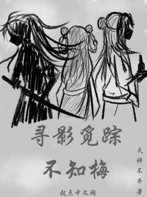 寻影觅踪不知梅