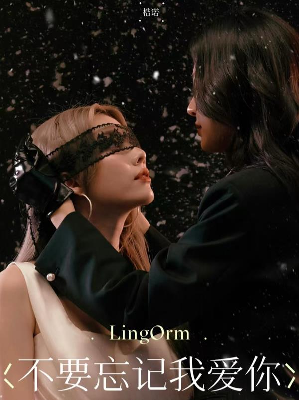 不要忘记我爱你:LingOrm